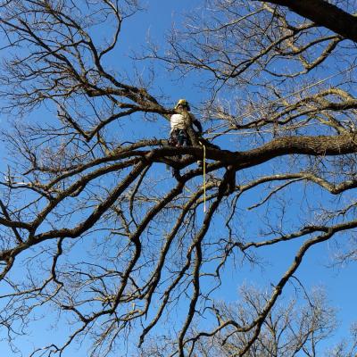 2020 Image 2020 02 21 At 13.56.06