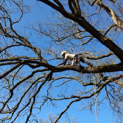 2020 Image 2020 02 21 At 13.56.07