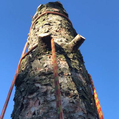 764d3da5 5b32 43aa 8bb9 1c7eb9c3fbf0