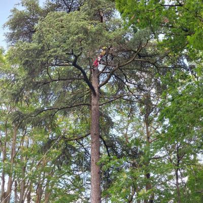 836fab72 4cf8 4366 9d52 B6118c0ea28e